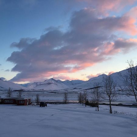 Hoefthi Cottages Dalvik Exterior photo