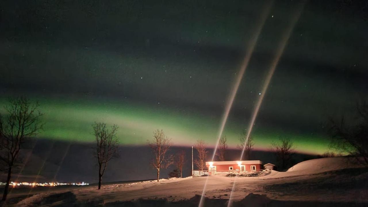 Hoefthi Cottages Dalvik Exterior photo