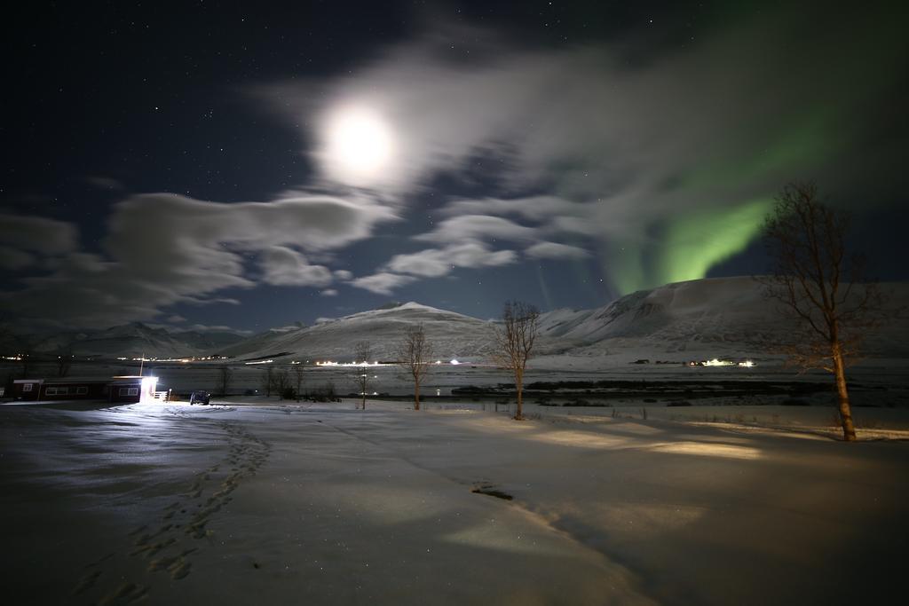 Hoefthi Cottages Dalvik Exterior photo