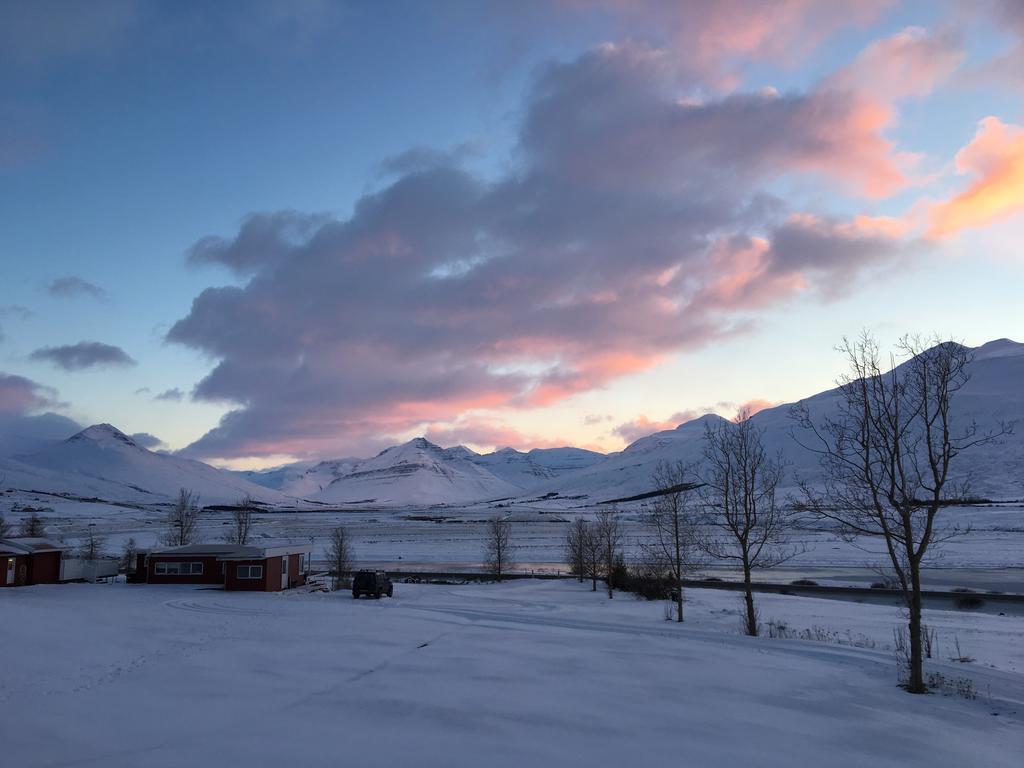 Hoefthi Cottages Dalvik Exterior photo