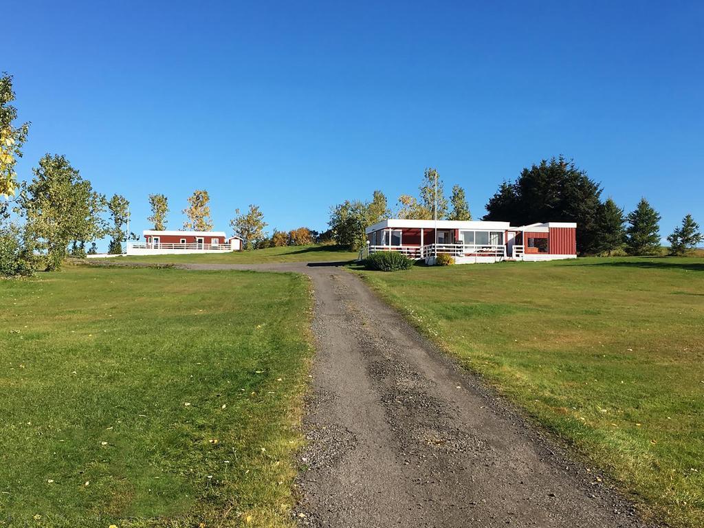 Hoefthi Cottages Dalvik Exterior photo