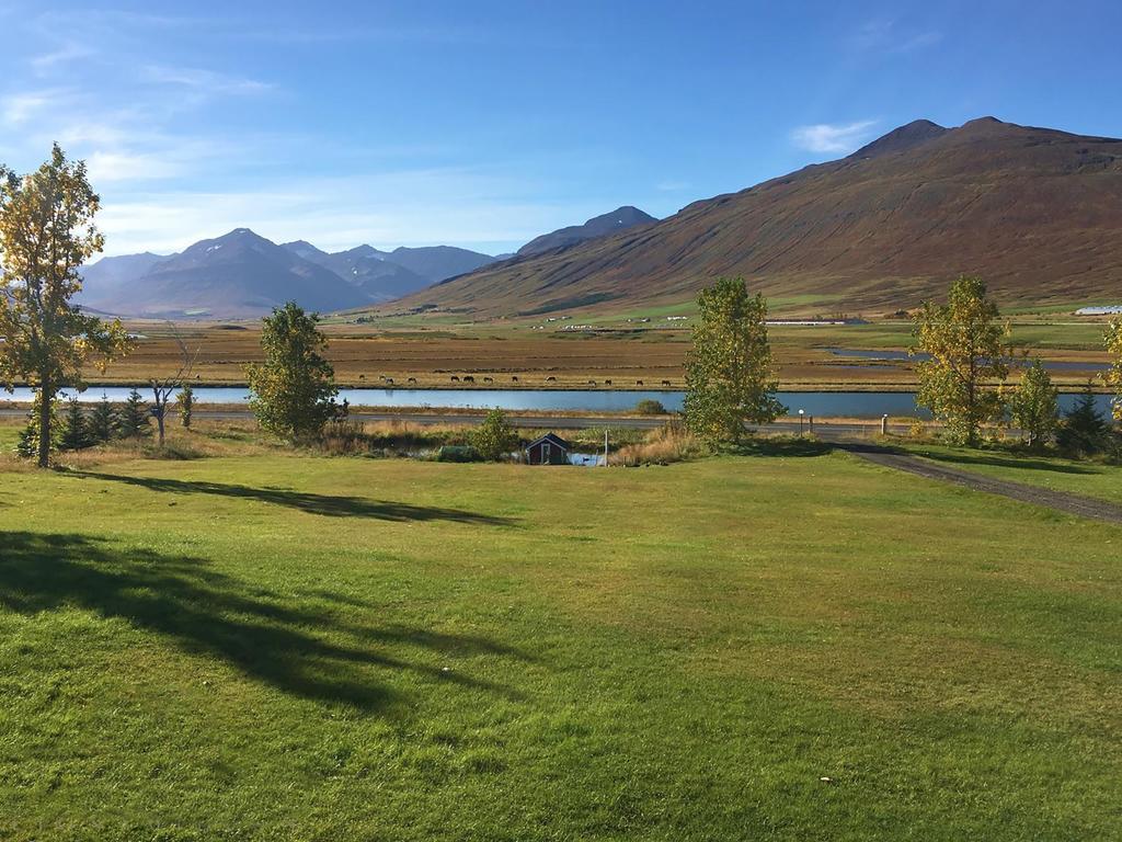 Hoefthi Cottages Dalvik Exterior photo